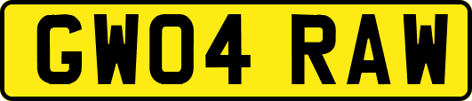 GW04RAW