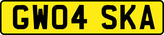 GW04SKA