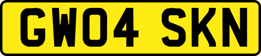 GW04SKN