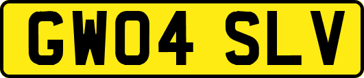 GW04SLV