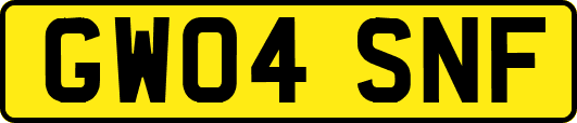 GW04SNF