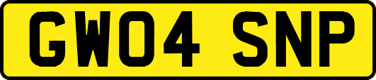 GW04SNP