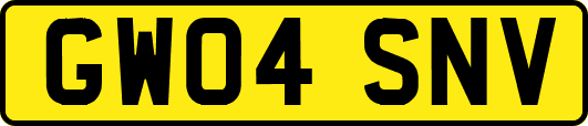 GW04SNV