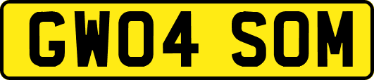 GW04SOM