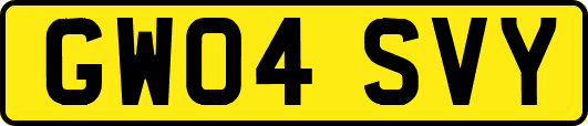 GW04SVY