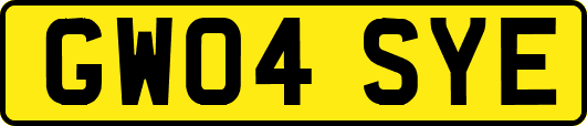 GW04SYE