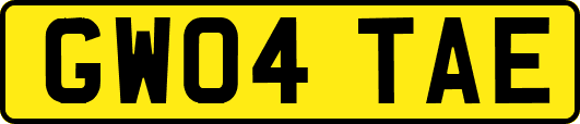 GW04TAE