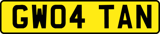 GW04TAN