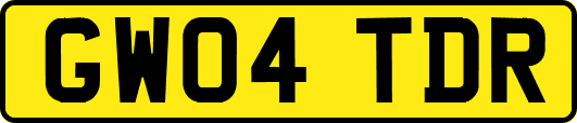 GW04TDR