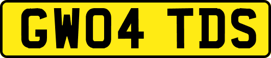 GW04TDS