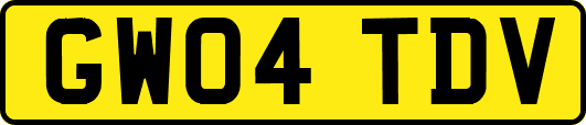 GW04TDV
