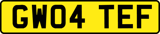 GW04TEF