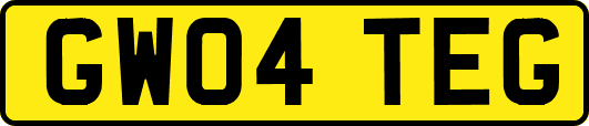 GW04TEG
