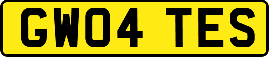 GW04TES