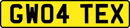 GW04TEX