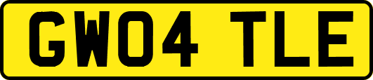 GW04TLE