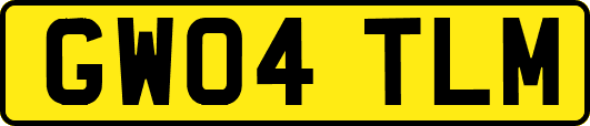GW04TLM