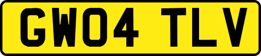 GW04TLV