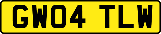 GW04TLW