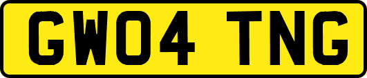GW04TNG
