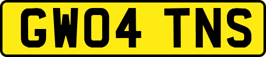 GW04TNS