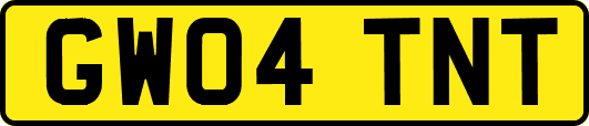 GW04TNT