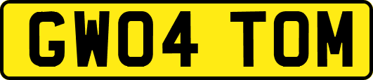 GW04TOM