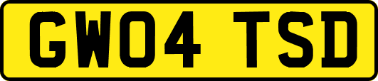 GW04TSD