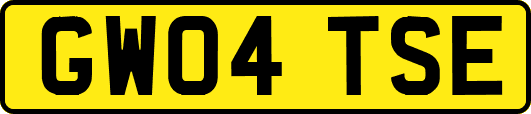GW04TSE