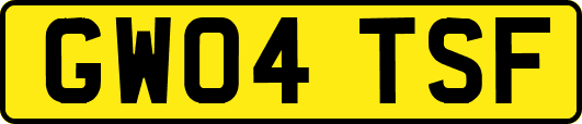 GW04TSF