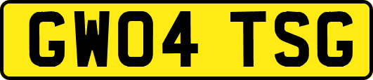 GW04TSG