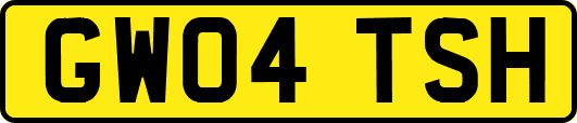 GW04TSH
