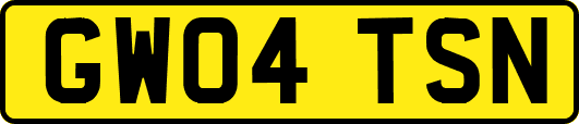 GW04TSN