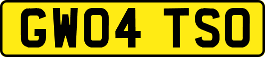 GW04TSO