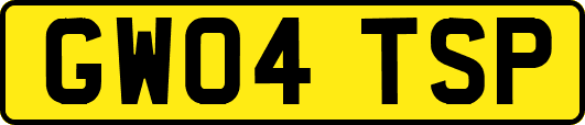 GW04TSP