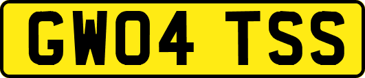 GW04TSS
