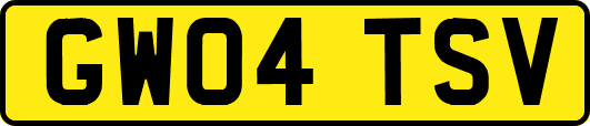GW04TSV
