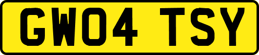 GW04TSY