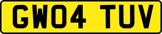 GW04TUV