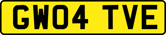 GW04TVE