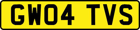 GW04TVS