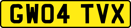 GW04TVX