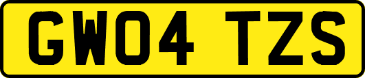 GW04TZS