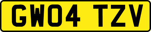 GW04TZV