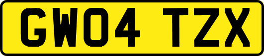 GW04TZX