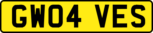 GW04VES