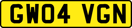 GW04VGN