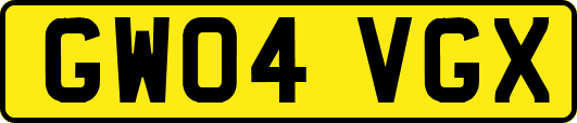 GW04VGX