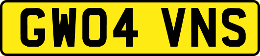 GW04VNS