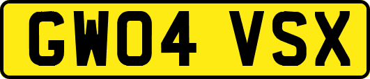 GW04VSX